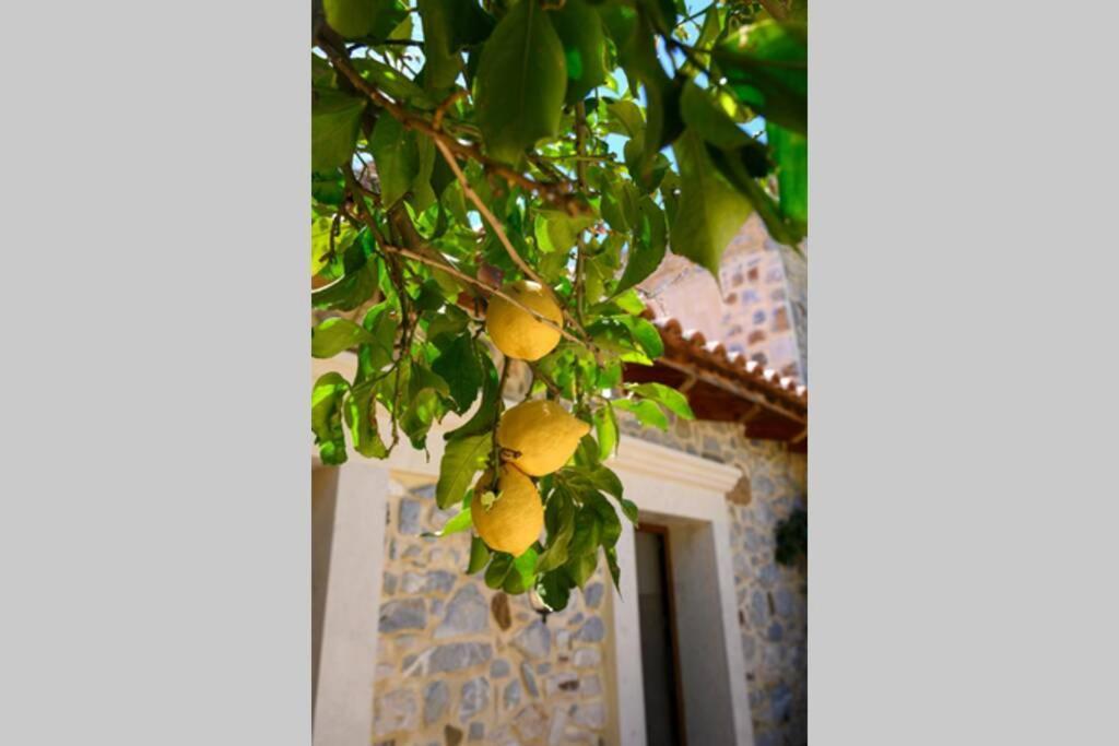 Marigoula House Villa Pombia Exterior photo